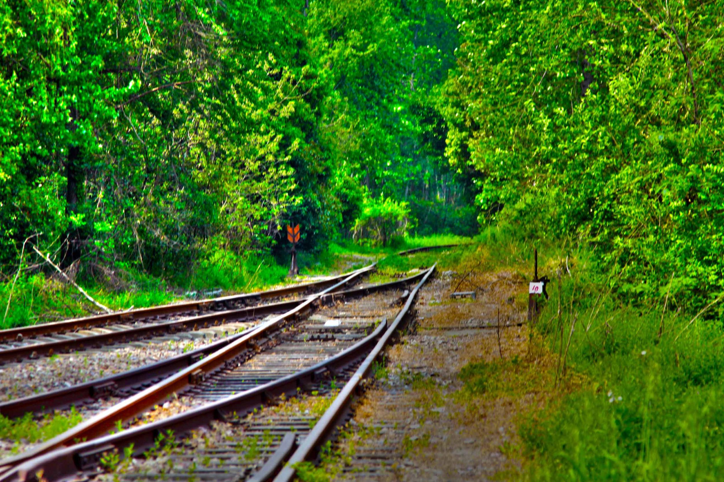 我省今年年內(nèi)有4條鐵路線(xiàn)投入運(yùn)營(yíng)更多出行選擇！