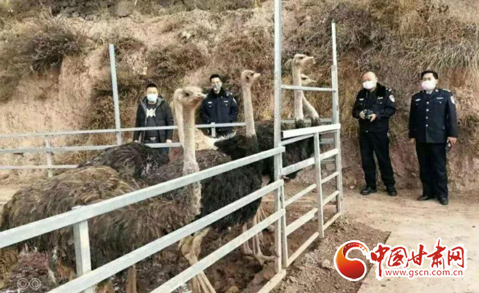 【甘肅全民戰(zhàn)“疫”】隴南宕昌：筑牢野生動物疫源疫病監(jiān)測防控網(wǎng)