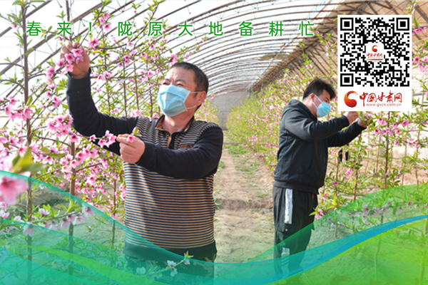 海報丨春來！隴原大地春耕忙