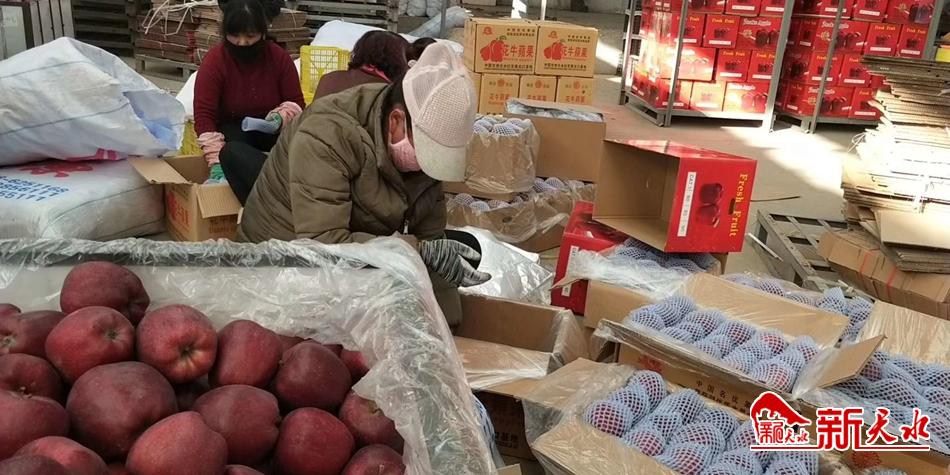 天水“花牛”最近有點“?！?>
        </a><em>天水“花?！弊罱悬c“?！?/em></li>
    <li><a  target=