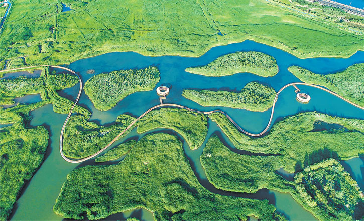 保護(hù)好自然資源 守護(hù)住綠水青山 ——甘肅省扎實(shí)推進(jìn)自然資源事業(yè)高質(zhì)量發(fā)展側(cè)記