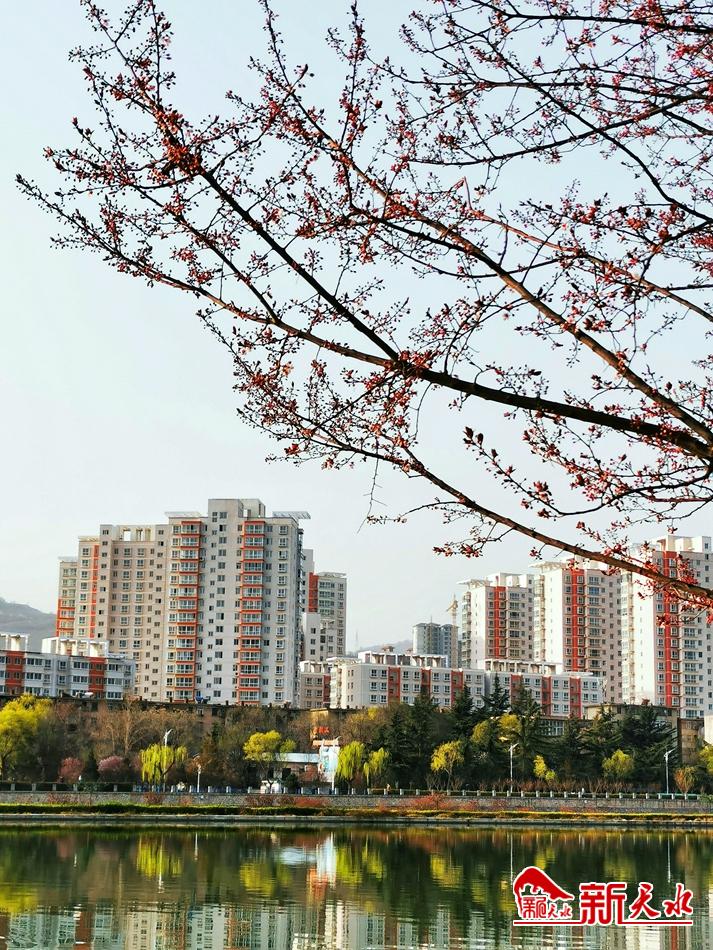 春天，古城天水的十個美麗瞬間