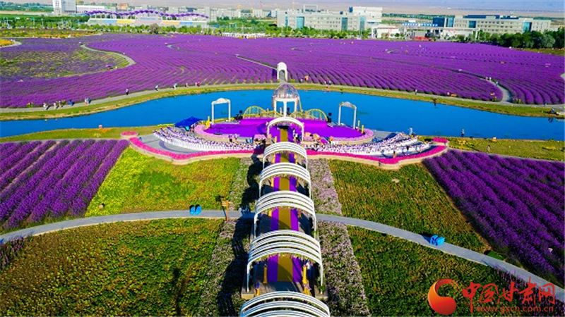 金昌市積極謀劃文旅項目 著力打好產業(yè)復工翻身仗