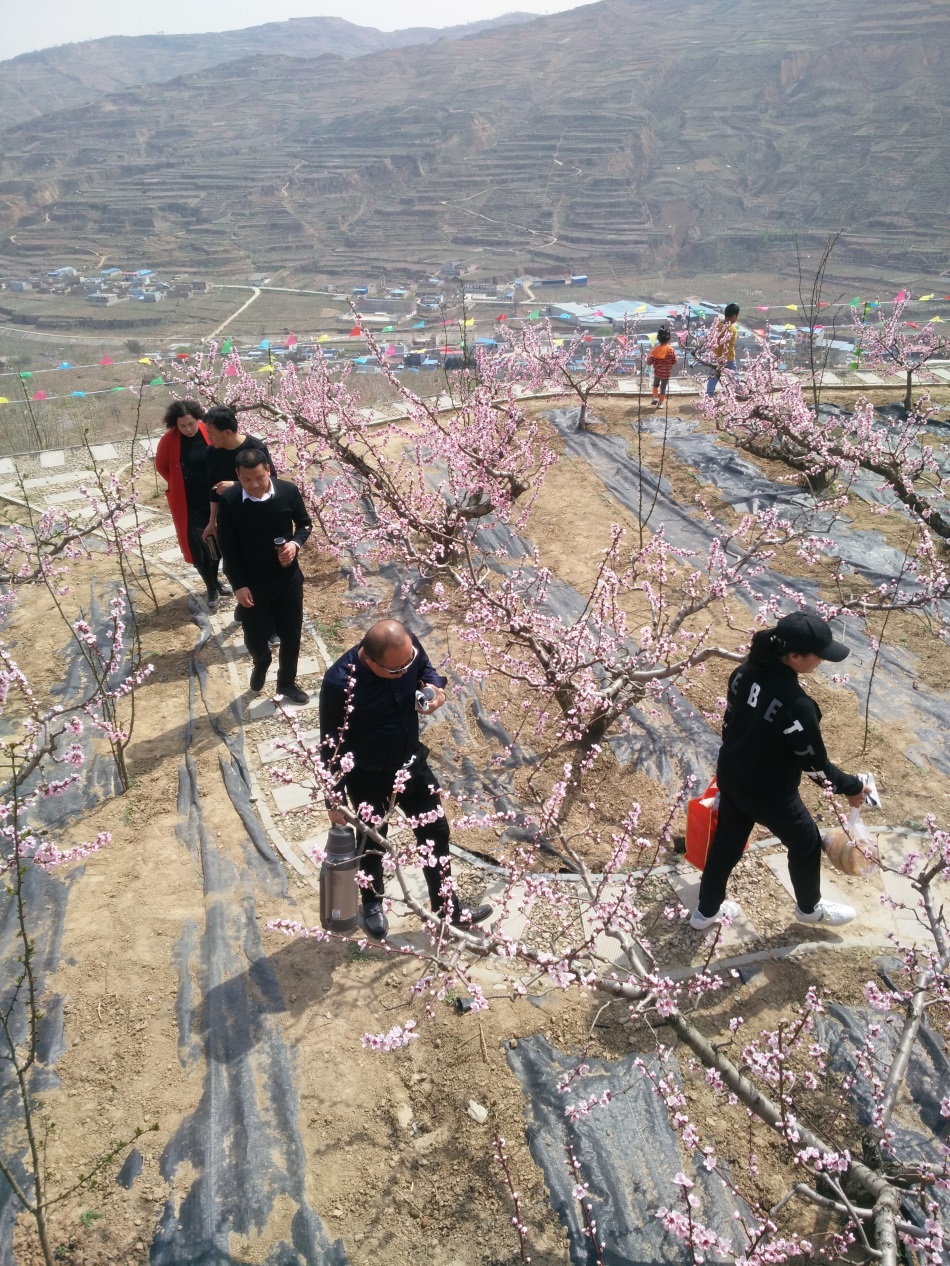 1586316255913564.jpg 3.jpg