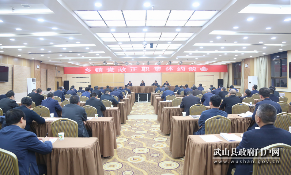 武山縣突出“快、細、實、嚴(yán)”全力推進抓黨建促決戰(zhàn)決勝脫貧攻堅問題排查清零