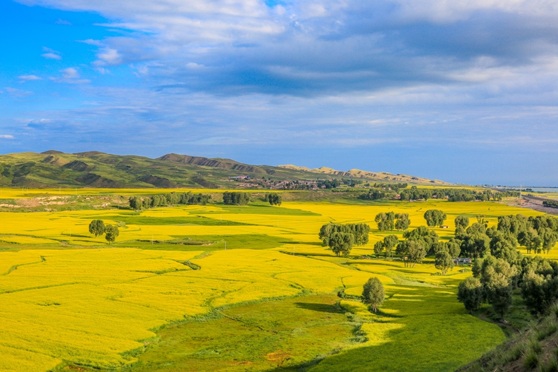 創(chuàng)意海報(bào)丨甘肅的美，你來了才知道