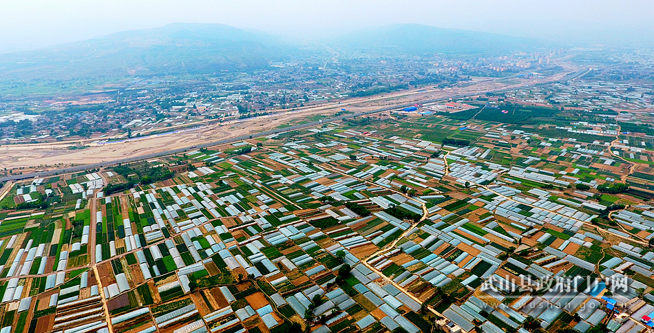 【為民情懷】武山：加快促進(jìn)產(chǎn)業(yè)升級 實現(xiàn)縣域經(jīng)濟發(fā)展與民生福祉互動共贏