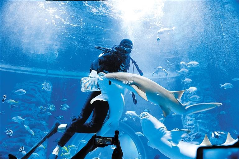 蘭州海洋公園 金昌火星1號基地 這個暑假我們“上天入?！?>
        </a><em>蘭州海洋公園 金昌火星1號基地 這個暑假我們“上天入?！?/em></li>
    <li><a  target=