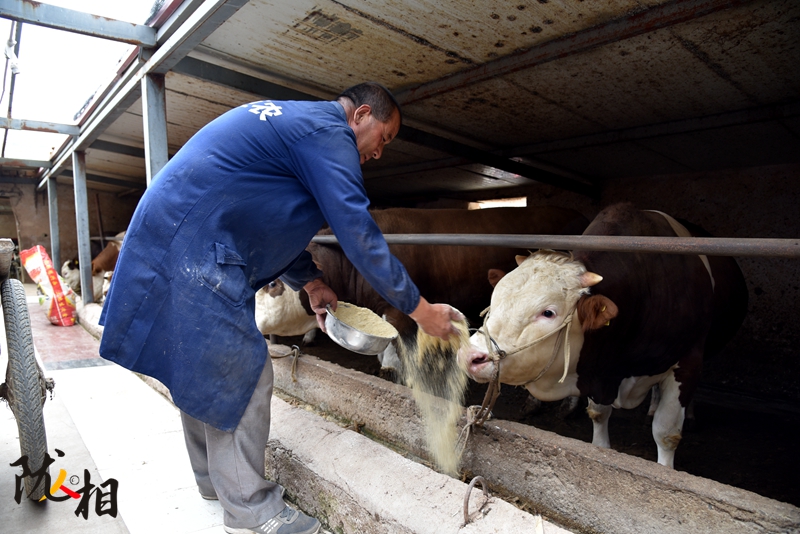【隴人相】脫貧路上的實(shí)干家——“?！比笋R占清