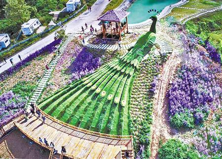 打卡南山云端 遇見(jiàn)別樣天水