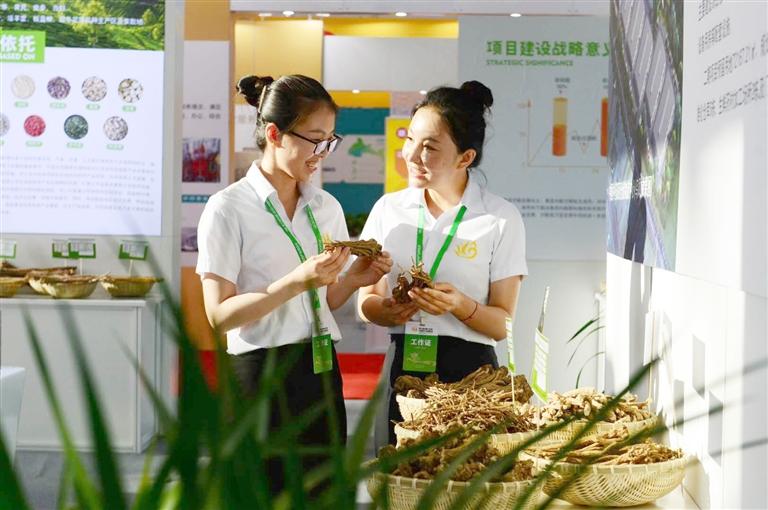 定西，從“千年藥鄉(xiāng)”邁向“中國藥都”