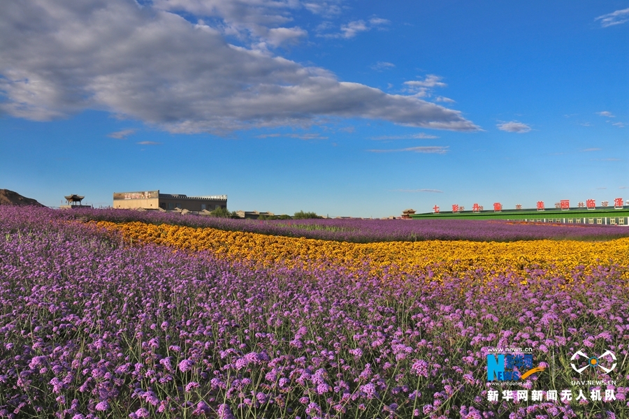 【“飛閱”中國】鳳凰花?！罢钩帷钡は伎?>
        </a><em>【“飛閱”中國】鳳凰花?！罢钩帷钡は伎?/em></li>
    <li><a  target=