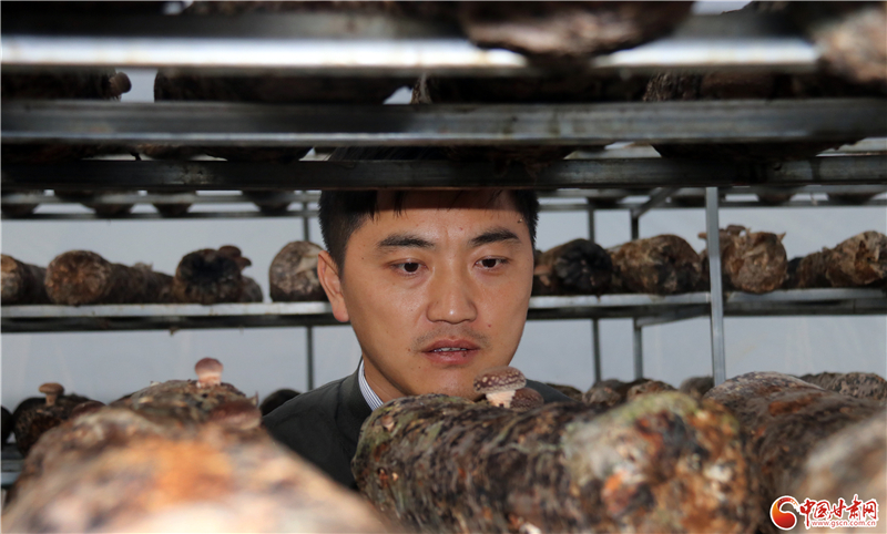 110年！何家溝村終于有了集體經(jīng)濟(jì)——中建二局黨建結(jié)對(duì)幫扶成效顯著