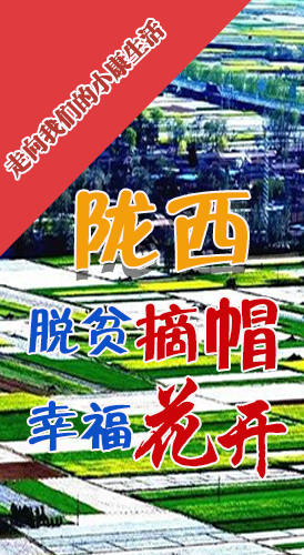 【走向我們的小康生活】長圖|隴西：脫貧摘帽 幸?；ㄩ_