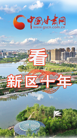 圖解|崛起！新區(qū)十年