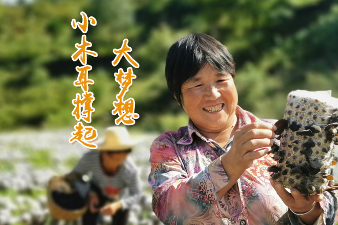 海報(bào)丨他們，乘“豐”破浪！