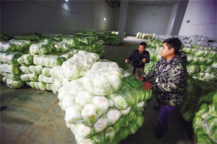 蘭州市已儲(chǔ)備1萬噸冬春蔬菜以耐貯存、易周轉(zhuǎn)品種為主