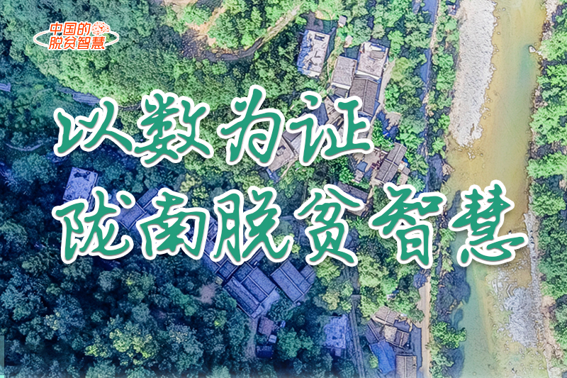 【中國的脫貧智慧】以數(shù)為證！隴南脫貧智慧來了！