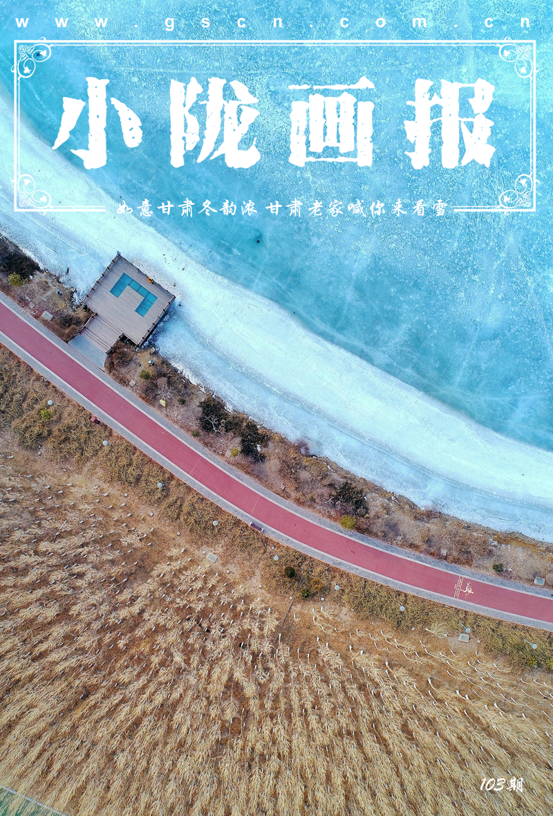 【小隴畫報(bào)·103期】雪添冬韻 千里隴原素雅綻放