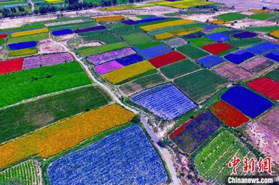 甘肅酒泉：除了天時地利，還有一“種”力