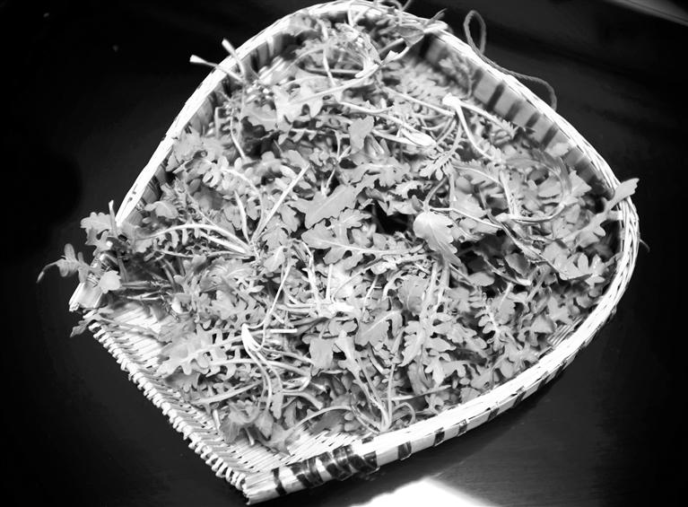 甘肅美食丨摘野菜，咬個“春”，讓味蕾清新起來