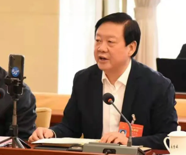 【聚焦2021全國兩會】全國人大代表、市委書記楊維俊接受中國日報記者采訪