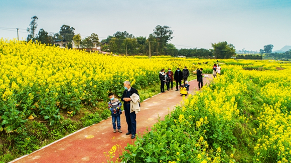 游客在花海里踏青。廖濤 攝