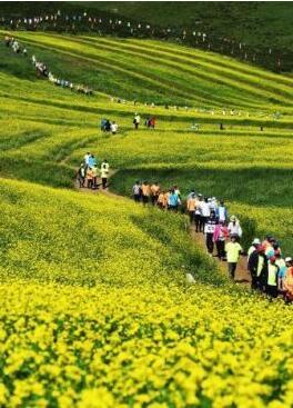 甘肅明確農(nóng)民進城落戶:不以退出承包地、林地等為條件