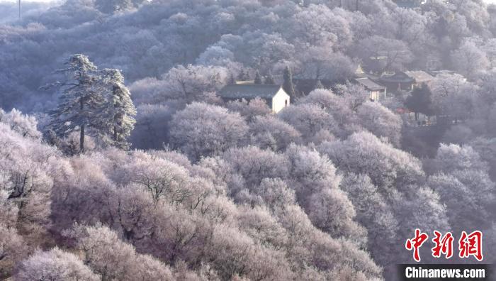 圖為霧凇美景。　徐振華 攝