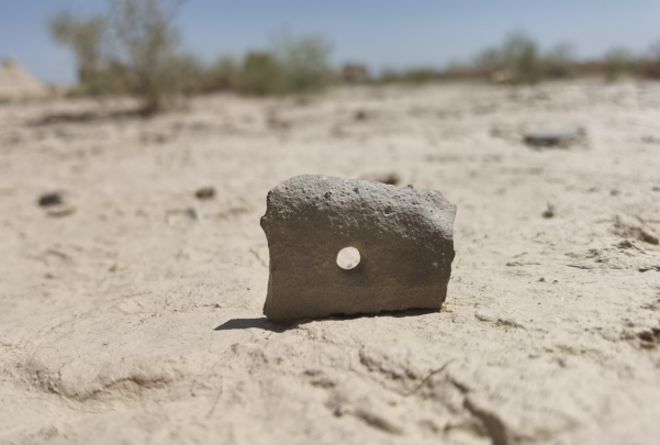 插圖1：河西走廊上遺存的古陶片。攝影：陳曉斌。拍攝日期：2020年6月。