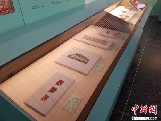 圖為展覽現(xiàn)場?！《鼗脱芯吭汗﹫D