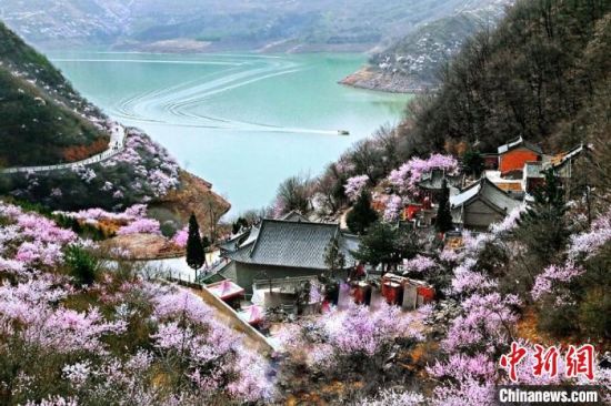 甘肅平?jīng)鍪惺侵袊鴥?yōu)秀旅游城市。圖為平?jīng)鲠轻忌较率锾一ㄊ㈤_。(資料圖) 平?jīng)鍪形麄鞑抗﹫D