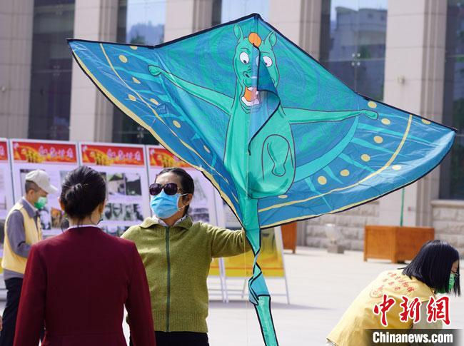5月18日，甘肅省博物館為觀眾免費發(fā)放文創(chuàng)產(chǎn)品“綠馬飛俠”風(fēng)箏。　 九美旦增 攝