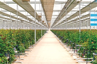 1675640478393834.jpg 6.jpg