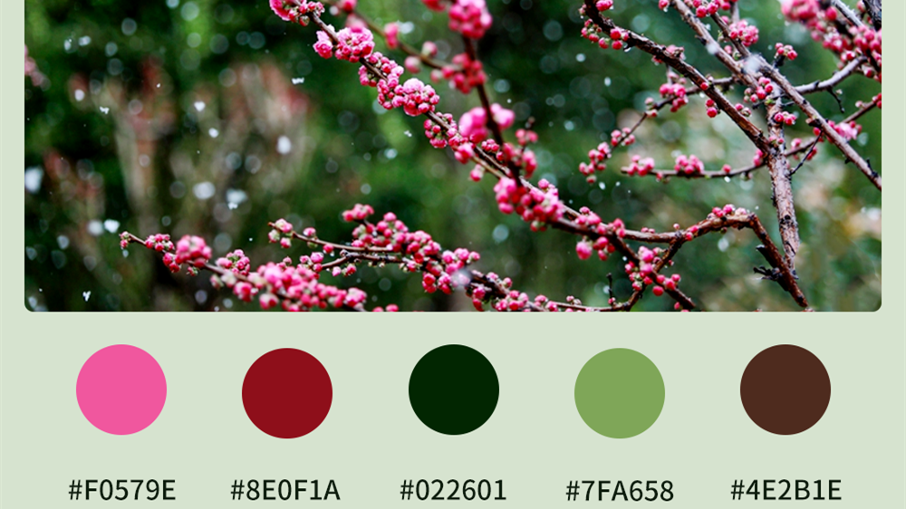 微海報|收藏！色卡里的春日甘肅