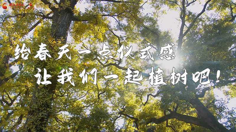 短視頻|給春天一點儀式感，讓我們一起植樹吧！
