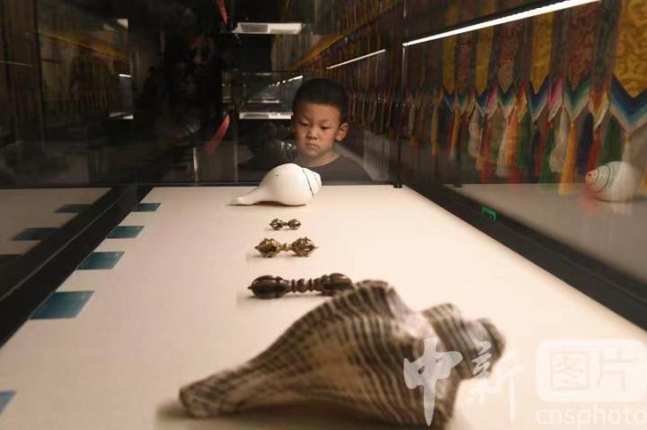圖為展出的“白海螺法器”吸引小觀眾。 中新社記者 戴文昌 攝