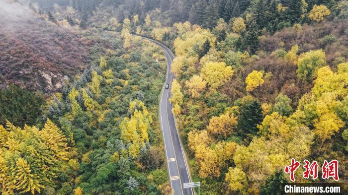 深秋，航拍位于蘭州市榆中縣的興隆山，景色如畫(huà)。金峯 攝</p>
<p>