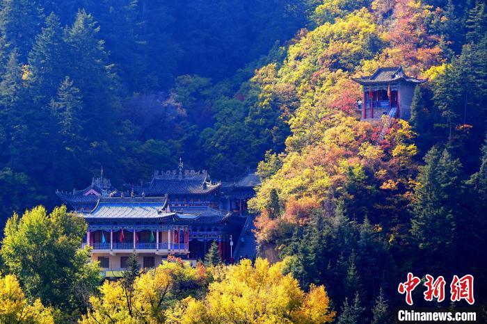 深秋，位于蘭州市榆中縣的興隆山景色如畫(huà)。宮衛(wèi)紅 攝