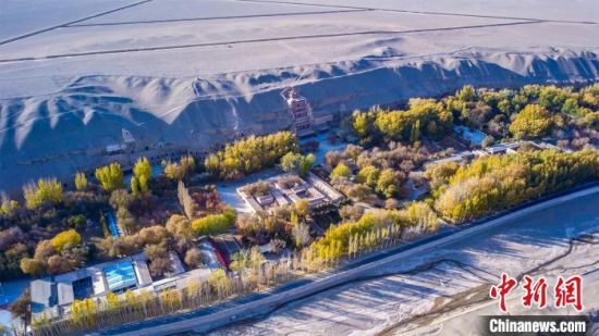 2022年11月，航拍深秋季節(jié)的莫高窟?！　⊥醣筱y 攝