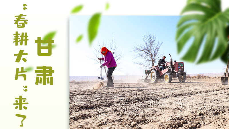 【甘快看】海報(bào)|瞧！甘肅“春耕大片”來(lái)了