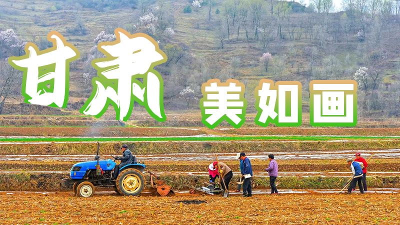 微海報|甘肅，美如畫