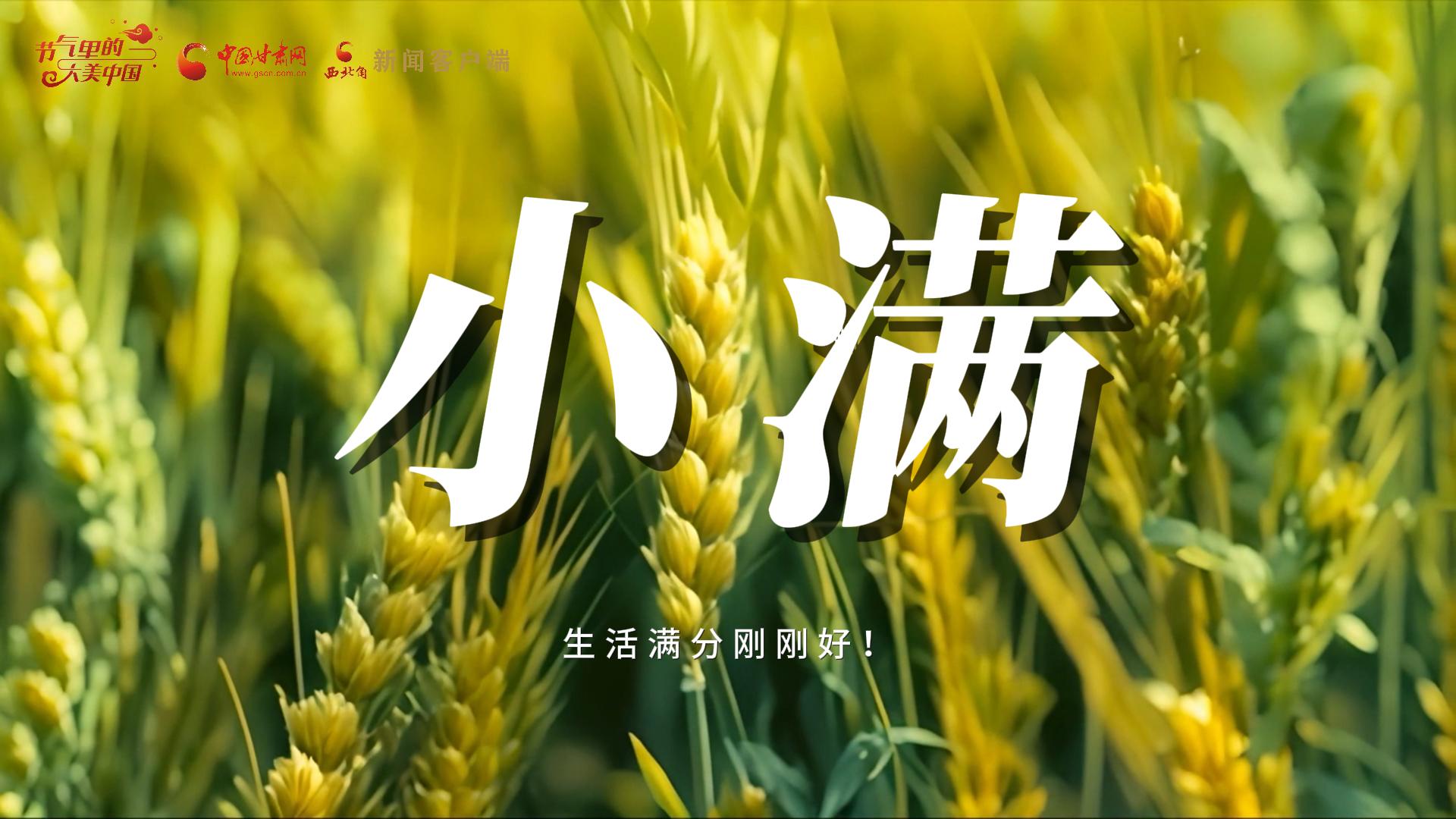 【節(jié)氣里的大美甘肅·小滿】生活滿分剛剛好！