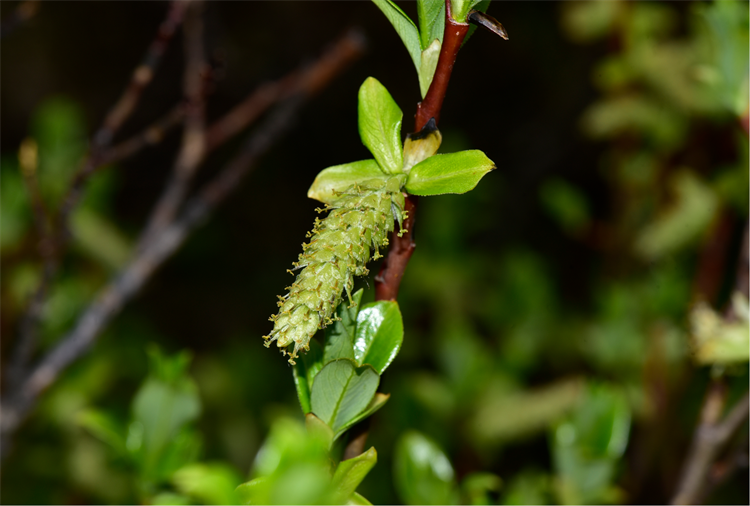 1725266737876824.png 4-2.png