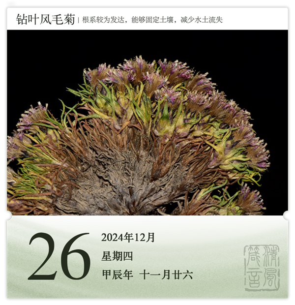 1732871406586931.png 箴歷日歷12-26.png