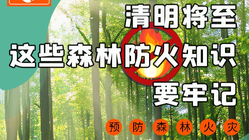 【甘快看】圖解|緊繃“安全弦”！清明，這些森林防火知識要牢記