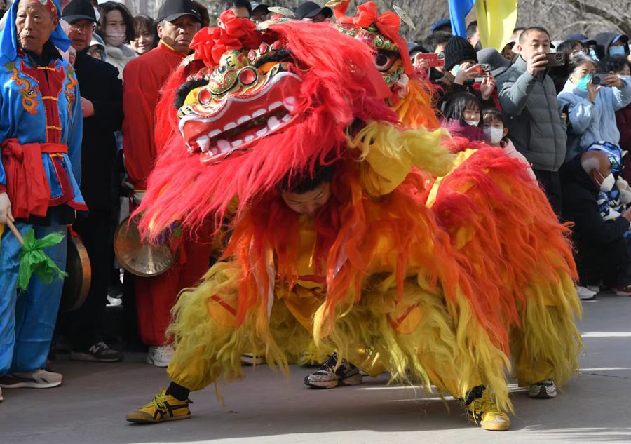 蘭州北獅表演現(xiàn)場。受訪者供圖