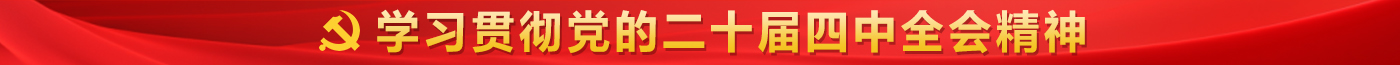 學(xué)習(xí)貫徹二十屆四中全會(huì)精神