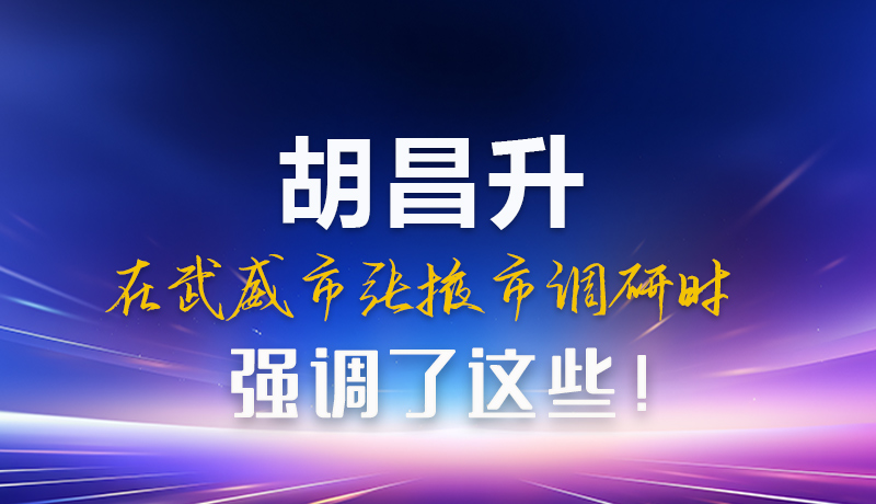 圖解|胡昌升在武威市張掖市調(diào)研時強(qiáng)調(diào)這些！