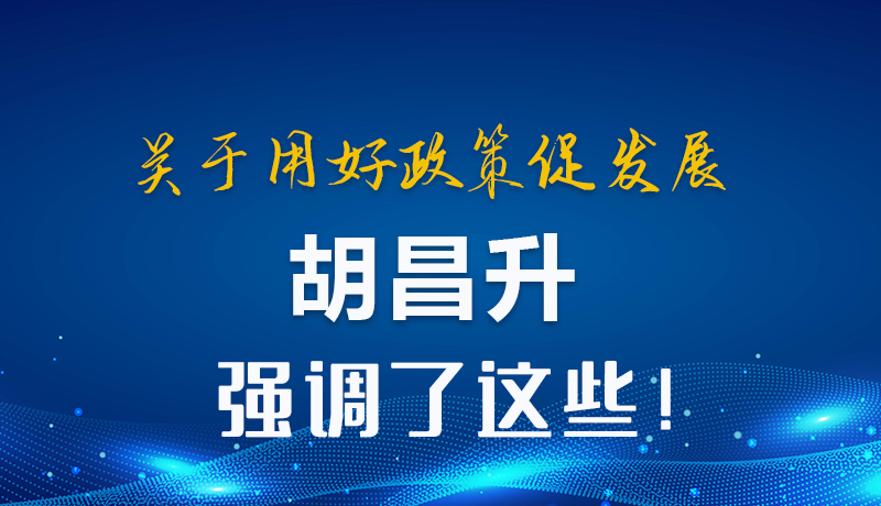 圖解|關(guān)于用好政策促發(fā)展 胡昌升強(qiáng)調(diào)了這些！